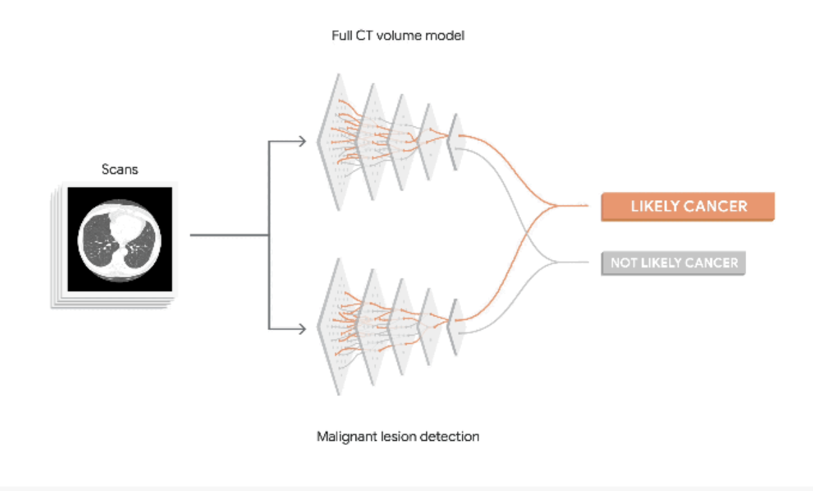 Predicting lung cancer from CT scans. Credit: [https://www.blog.google/technology/health/lung-cancer-prediction/](https://www.blog.google/technology/health/lung-cancer-prediction/)