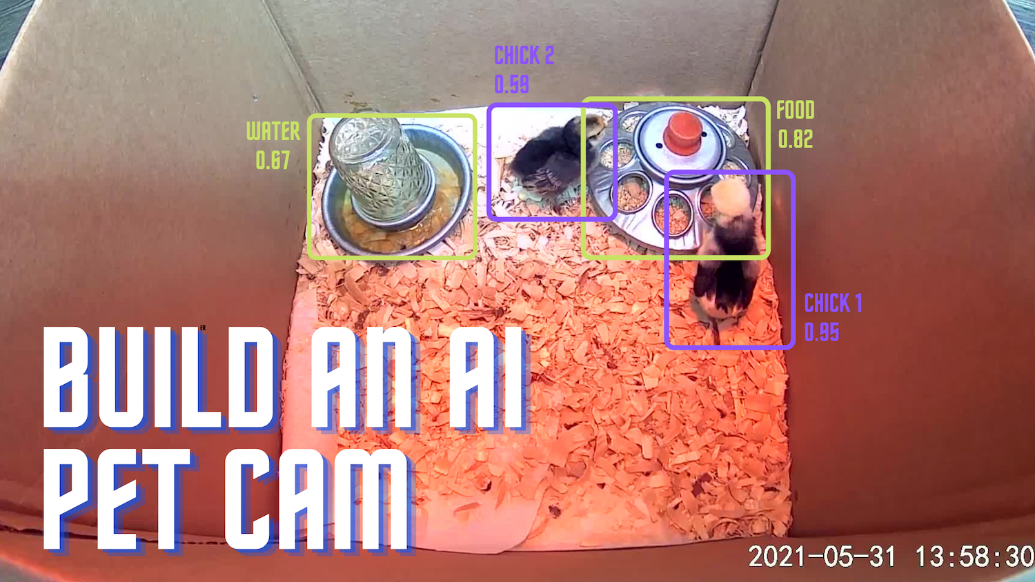 Build an Animal/Object Tracking Camera App with TensorFlow.js