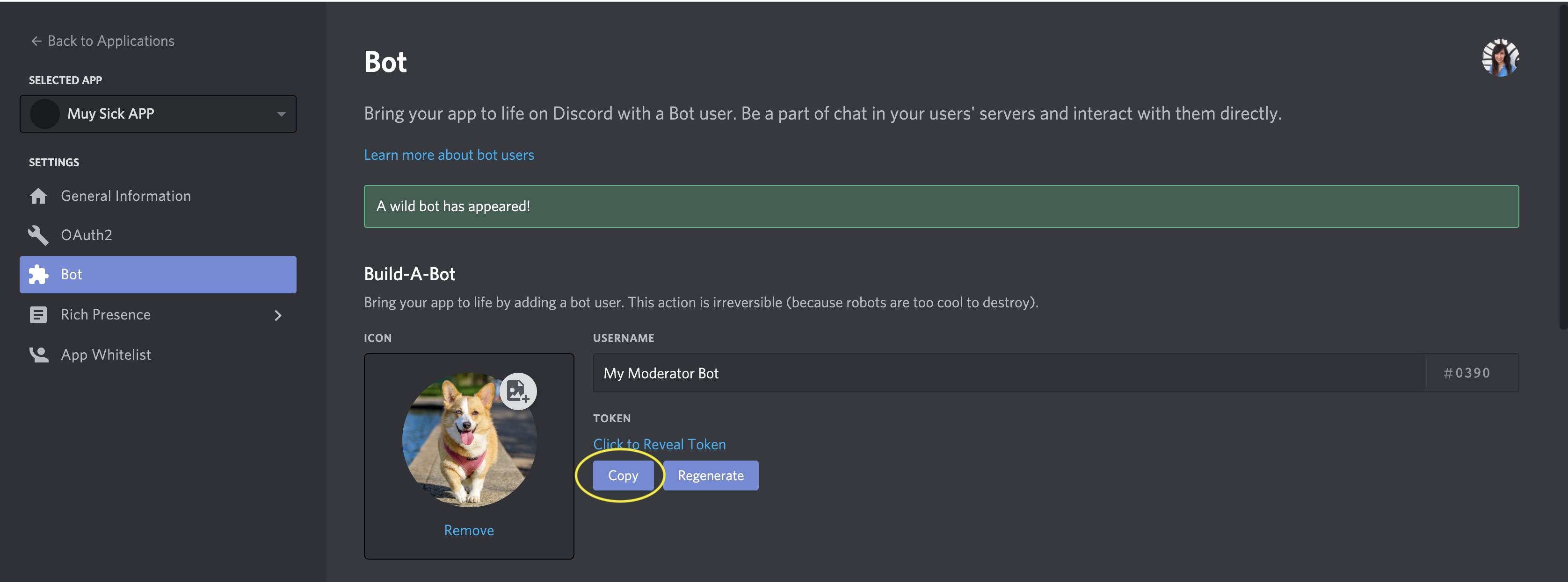 visitar Oponerse a Alas Build Your Own AI Moderator Bot for Discord with the Perspective API
