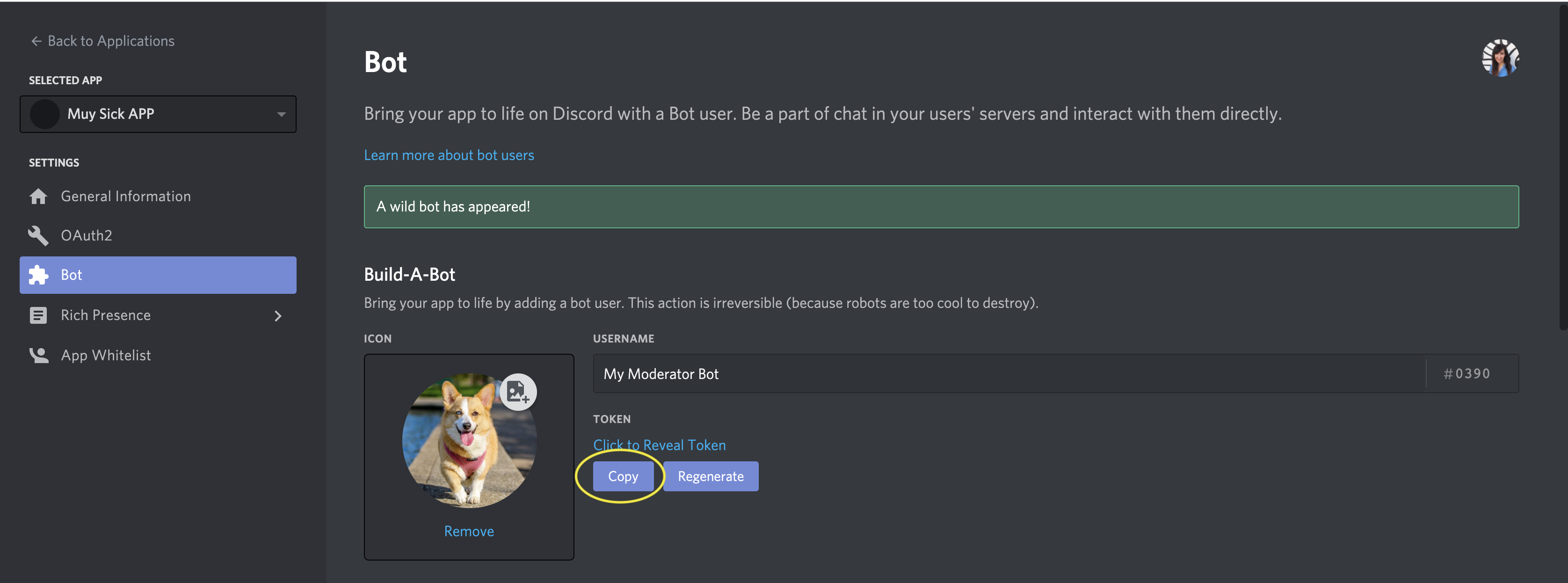 create your own chatbot discord