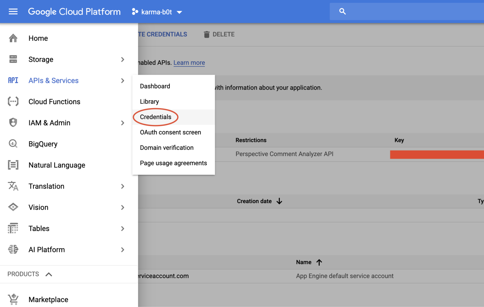 Creating an api key from the google developer console