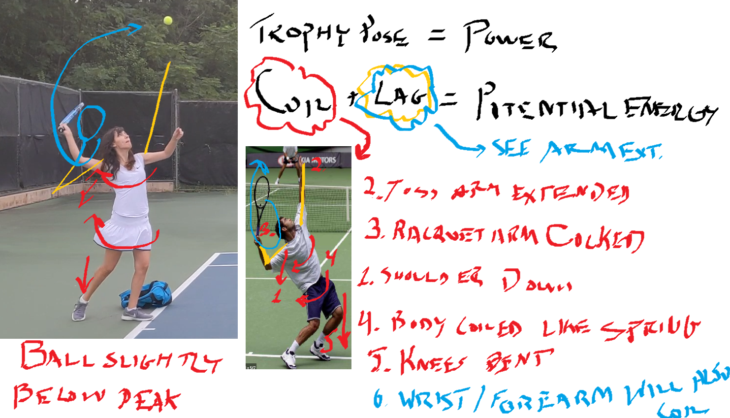 What are the ideal biomechanical principles of the tennis serve? Which pro  has the best serve?